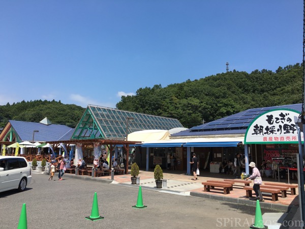 道の駅 もてぎ